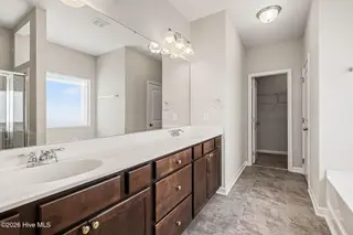 228 Monroe Fields Drive, Benson, NC 27504 – photo 20: Owners Bathroom