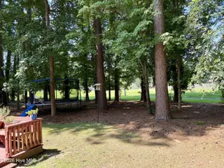 105 Norman Court, New Bern, NC 28560 – photo 3: Backyard trees