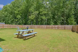 970 Ocean Court, Carthage, NC 28327 – photo 20: Backyard View