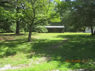 7625 Wheat Swamp Road, Lucama, NC 27851 – photo 12: 7625 Wheat Swamp yard1-5