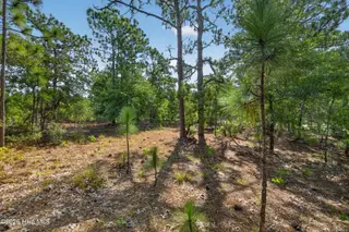 Lot 1 1 Sanders Road, Wilmington, NC 28412 – photo 9: SandersRoadLot-7