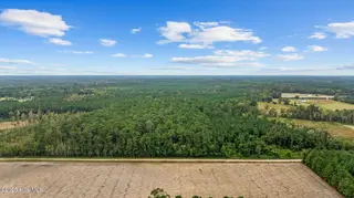 36ac Near 323 Indigo Flats Road W, Tabor City, NC 28463 – photo 1: 9-web-or-mls-Full9