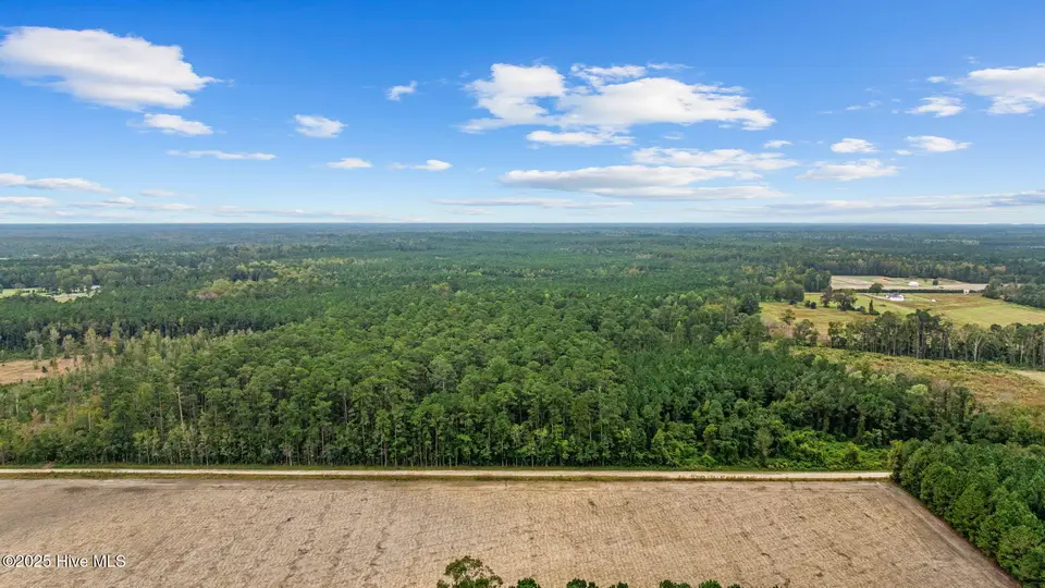 36ac Near 323 Indigo Flats Road W, Tabor City, NC 28463 – photo 1 of 8: 9-web-or-mls-Full9