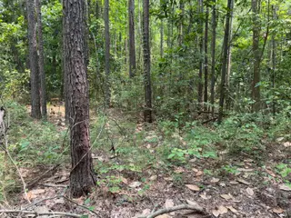 1197 7 Green Springs Road, New Bern, NC 28560 – photo 2: interior lot