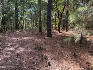Lot 47 47 Ward Drive, Dudley, NC 28333 – photo 3: unnamed (3)
