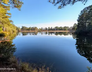 350 Pine Vista Drive, Pinehurst, NC 28374 – photo 2: PXL_20250113_203844772
