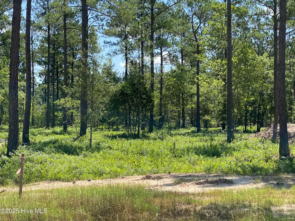 8750 9 Compass Pointe West Wynd NE, Leland, NC 28451 — lot in Compass Pointe, Leland, NC, photo 1 of 12