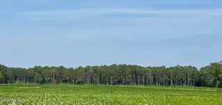 Lot 3 3 Us 17 N, Washington, NC 27889 – photo 2: 1000013077