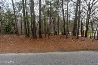 102 Ramsgate Court, Seven Lakes, NC 27376 – photo 5: A7404174-1A 2