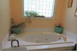 4200 Dewfield Drive N, Wilson, NC 27896 – photo 17: 16 Master Jetted Tub