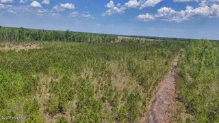 0 7 Guinea Mill Road, Ernul, NC 28527 – photo 14: 14