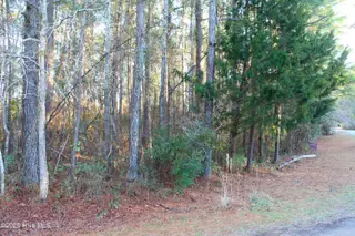 145 Heron Drive, Havelock, NC 28532 – photo 8: Street Side of Lot
