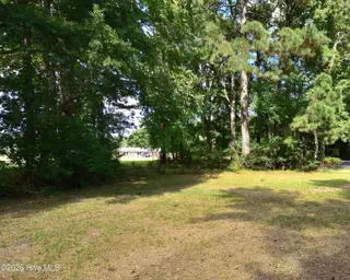 728 Salisbury Drive, Rocky Mount, NC 27801 – photo 16: Back Yard