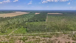 0 6 Guinea Mill Road, Ernul, NC 28527 – photo 12: 12
