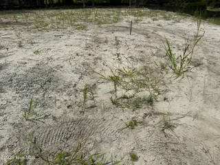 2072 91 Royal Pines Drive, New Bern, NC 28560 – photo 4: Cleared and Fill Dirt Added