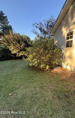 637 Lanvale Hills Circle, Leland, NC 28451 — 3-bedroom home in Lanvale Trace, Leland, NC, photo 14 of 15: Backyard
