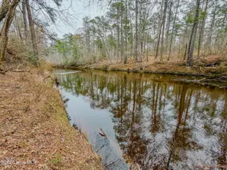 0 Lobelia Road, Vass, NC 28394 – photo 20: 22