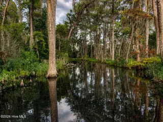1209 Brices Creek Road, New Bern, NC 28562 – photo 9: Canal Entrance (2)