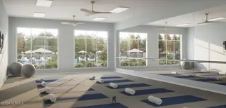 4173 Yellow Flag Iris Street, Leland, NC 28479 – photo 21: future yoga