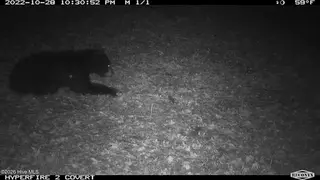 Off Swamp Fox Hwy Highway E, Tabor City, NC 28463 – photo 12: Copy of MBL_0107
