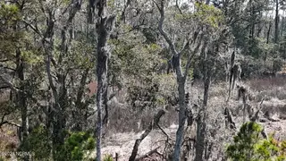 107 135 Pin Oak Court, Beaufort, NC 28516 – photo 15: DJI_20240315121303_0057_D Large