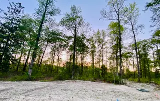 Lot 27 27 Plover Way, New Bern, NC 28562 – photo 1: IMG_4782