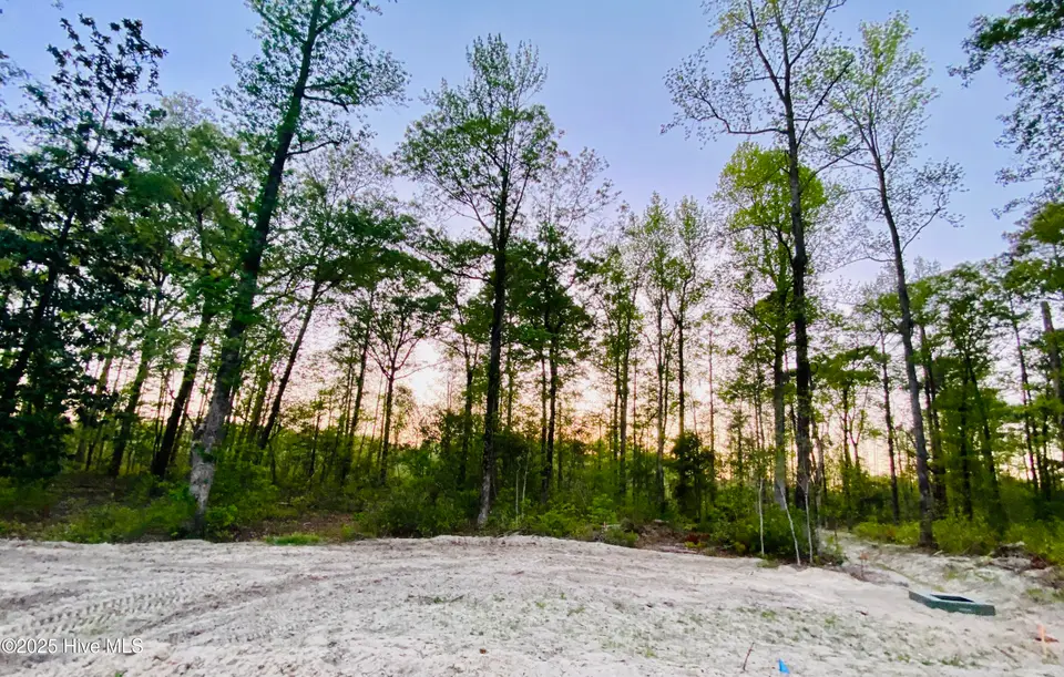 Lot 27 27 Plover Way, New Bern, NC 28562 – photo 1 of 5: IMG_4782