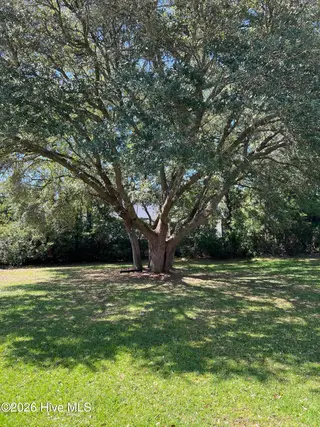 112 Pettiford Road, Peletier, NC 28584 — 3-bedroom manufactured home in Pettiford Point, Peletier, NC, photo 3 of 19: tree